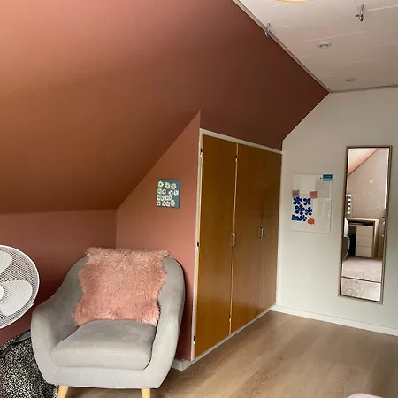 Stort Hus Med Aktivitetsrum Og Dejlig Have 别墅